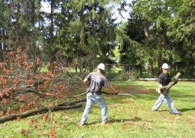 Lingers Lumberjacks Tree Removal