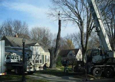 Lingers Lumberjacks Tree removal