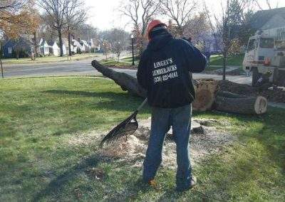 Tree removal clean up